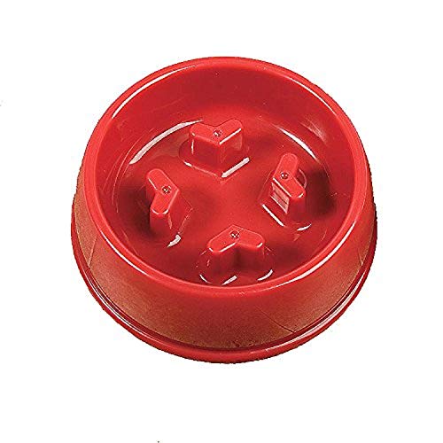 Apollo Exports International Slow Down Futternapf für Hunde von Apollo Exports International