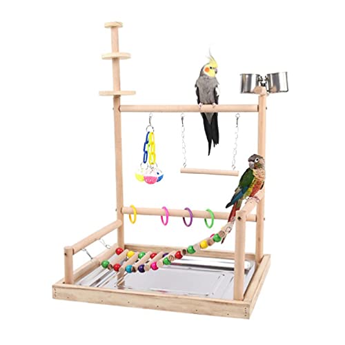 Apooke Vogel-Sitzstange für Papageien, mit Edelstahl-Tablett, Futterbecher, Leiter, Schaukel, Kunststoff, Kauspielzeug für Vögel von Apooke