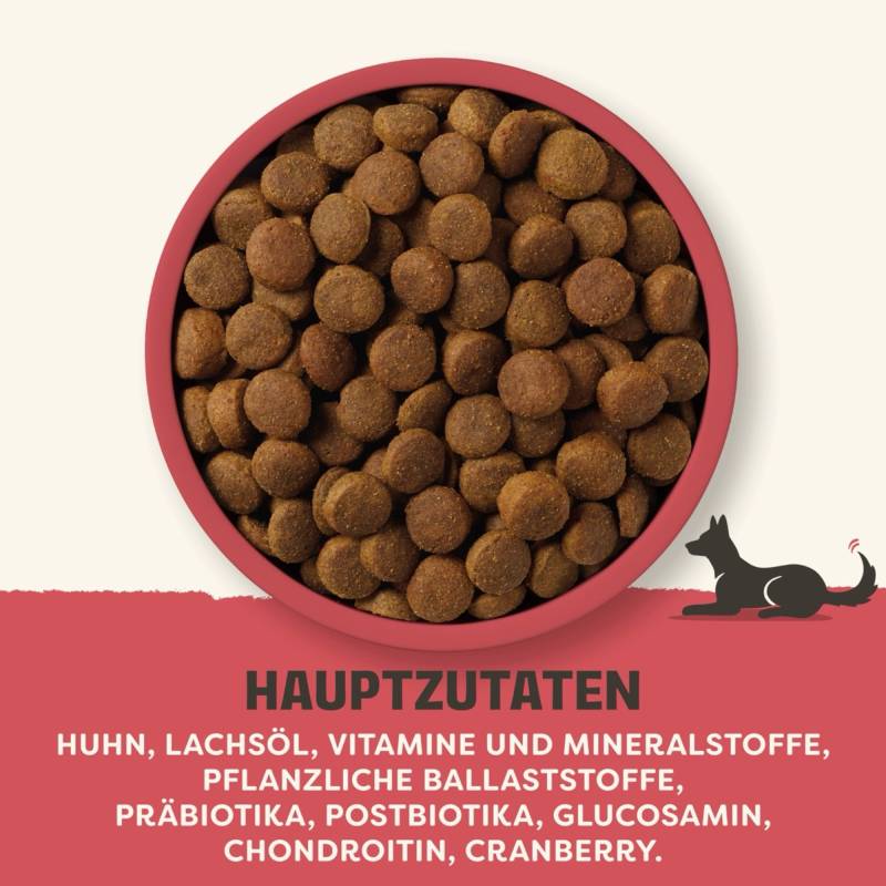 Applaws Adult Huhn Große Rassen - Sparpaket: 2 x 12,5 kg Applaws Adult Huhn Große Rassen - Sparpaket: 2 x 12,5 kg von Applaws