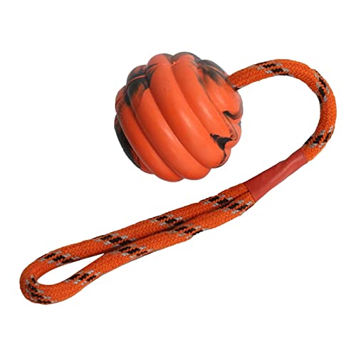 Appoo Hundetrainingsball an einem Seil - Interaktives Kauseil Ballspielzeug Waschbar Langlebig | Hundetrainingsball am Seil, Übungs- und Belohnungswerkzeug, glückliche Spielzeit, Kautraining von Appoo