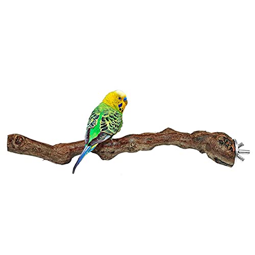 Appoo Parrots Perch Platform Stock Pole - Holz-Vogelständer Barsch - Natürlicher Vogelspiel-Trainingsstand - Vogel-Papageien-Naturständer von Appoo