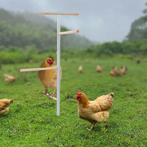 Apriltop 140×83×3.2cm Sitzstange für Hühner, Hühnerbaum, Tragfähigkeit (Einzelner Holzpfahl) 5Kg, für Landwirtschaftliche Familienbetriebe, Hinterhofhaltungen, Kleine Geflügelfarmen von Apriltop