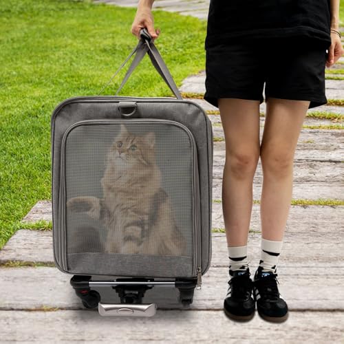 Apriltop Haustier Transportbox mit 4 Rädern, Katzen Transporttasche für 2 Katzen mit Mehrfachtaschen, Trolley für Katzen Hund, Belastung 17,5Kg, mit Schallwand, Matten, Schulterriemen, Grau Apriltop Haustier Transportbox mit 4 Rädern, Katzen Transporttasche für 2 Katzen mit Mehrfachtaschen, Trolley für Katzen Hund, Belastung 17,5Kg, mit Schallwand, Matten, Schulterriemen, Grau von Apriltop