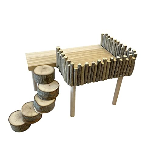 Aptliton Hamster-Spielplatz-Plattform, natürliches Holzregal mit Leiter für kleine Haustiere, Doppelboden, Käfigzubehör für Goldbären, Vogelklettern, Spielen (vertikal rund) von Aptliton