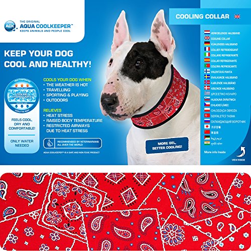 Aqua Coolkeeper 50AQCOSG01 Kühlhalsband für Hunde, 14 - 16 x 2 cm, Schottengrau von Aqua Coolkeeper