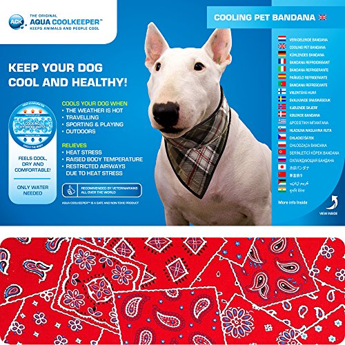 Aqua Coolkeeper 50AQPEBARW11 Kühlendes Bandana für Hunde, Westernrot, 61-70 cm von DOG Copenhagen