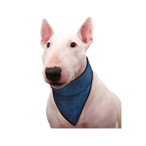 Aqua Coolkeeper Bandana - Blau - XXS von Aqua Coolkeeper