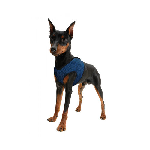 Aqua Coolkeeper Comfy Harness - Pacific Blue - XXS von Aqua Coolkeeper