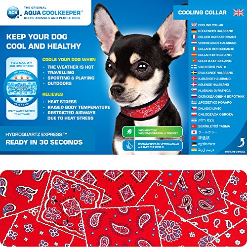 Aqua Coolkeeper 50AQCORW04 Kühlhalsband für Hunde, Westernrot, 20-24 cm x 2,5 cm von Aqua Coolkeeper