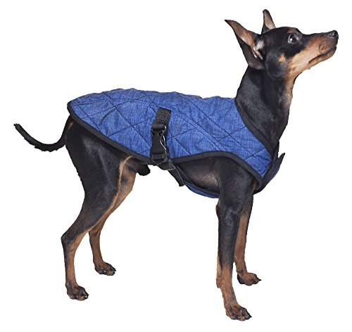 Aqua Coolkeeper Kühlender Hunde-Mantel von Aqua Coolkeeper