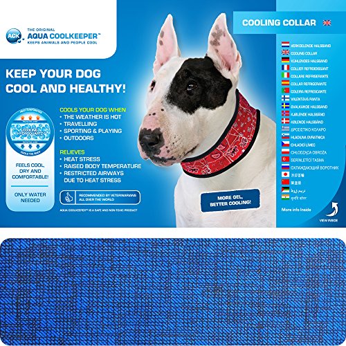 Aqua Coolkeeper Pacific Hundehalsband mit Frischefunktion, blau von Aqua Coolkeeper