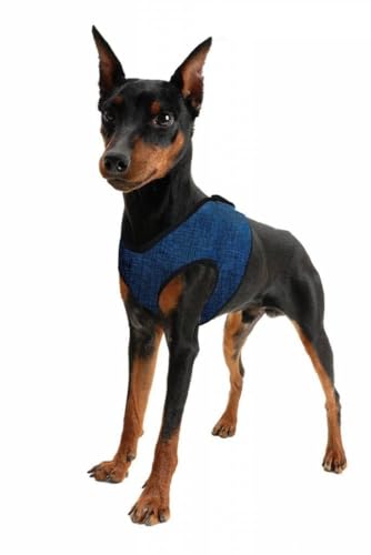 Aqua Coolkeeper Tuig voor hondje Comfy cool Blue XXS 20-26 cm von Aqua Coolkeeper