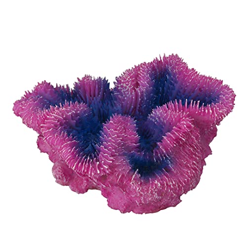 Aqua Della, Dekoration für Aquarium, Gesichtsbaum 2 13.7x11.8x23,5 cm, Ornament in Polyesterharz, ungiftiges und neutrales pH -Wert für frisches und gesalzenes Wasser Aquarium, Aqua Della, Dekoration für Aquarium, Gesichtsbaum 2 13.7x11.8x23,5 cm, Ornament in Polyesterharz, ungiftiges und neutrales pH -Wert für frisches und gesalzenes Wasser Aquarium, von Aqua Della