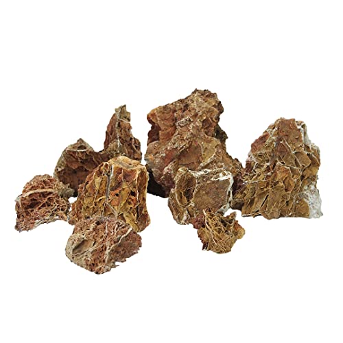 Aqua Della, Dekoration für Aquarium, Scorro, L ± 2 kg, braun, geeignet für Süßwasser, Meerwasser, realistische Details, Aquariumzubehör, Natursteine für Aquascaping Terrarien Aqua Della, Dekoration für Aquarium, Scorro, L ± 2 kg, braun, geeignet für Süßwasser, Meerwasser, realistische Details, Aquariumzubehör, Natursteine für Aquascaping Terrarien von Aqua Della