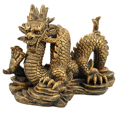 Aqua Della, Dekoration für Aquarium, Sternzeichen Drache, 14 x 8,5 x 10 cm, Ornament aus Polyesterharz, ungiftig und pH-neutral, für Aquarien, Süß- und Salzwasser, realistische Dekoration Aqua Della, Dekoration für Aquarium, Sternzeichen Drache, 14 x 8,5 x 10 cm, Ornament aus Polyesterharz, ungiftig und pH-neutral, für Aquarien, Süß- und Salzwasser, realistische Dekoration von Aqua Della