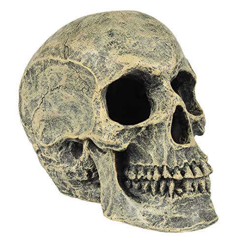 Aqua Della, Dekoration für Aquarium, neuartiger Pavillon mit Aitstone S - 11x6x10,5 cm, in Polyesterharz, Nicht -toxisch und neutral pH, geeignet für frisches und gesalzenes Wasseraquarium von Smurfs AquaDella