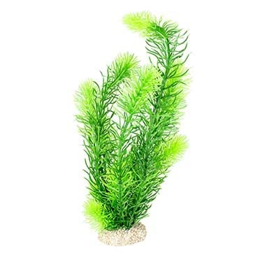 Aqua Della, Hornwort-Pflanze M – Höhe 24 cm, Dunkelgrün, Fisch, Dunkelgrün, Fisch von Aqua Della