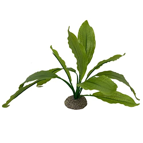 Aqua Della, Künstliche Pflanze, bunt, aus flexiblem Kunststoff, Echodorus, 2, 24 cm, Grün, robuster Standfuß, bietet Schuppen und Orte der Reproduktion, geeignet für Aquarien und Terrarien Aqua Della, Künstliche Pflanze, bunt, aus flexiblem Kunststoff, Echodorus, 2, 24 cm, Grün, robuster Standfuß, bietet Schuppen und Orte der Reproduktion, geeignet für Aquarien und Terrarien von Aqua Della