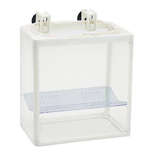 Aqua Della, Trennwanne 13 x 8 x 15 cm, Fisch, <>, Fische Aqua Della, Trennwanne 13 x 8 x 15 cm, Fisch, <>, Fische von Aqua Della