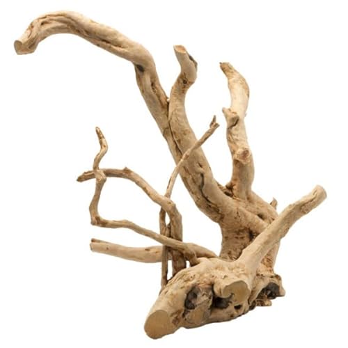 Aqua Della Driftwood Poli M - 30-43cm brun Aqua Della Driftwood Poli M - 30-43cm brun von Aqua Della