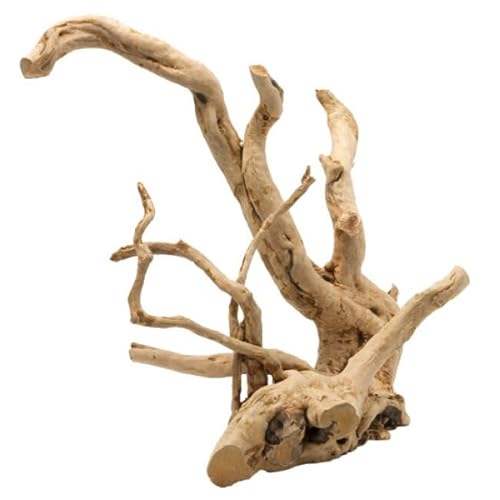 Driftwood Poli M - 30-43cm brun von Aqua Della