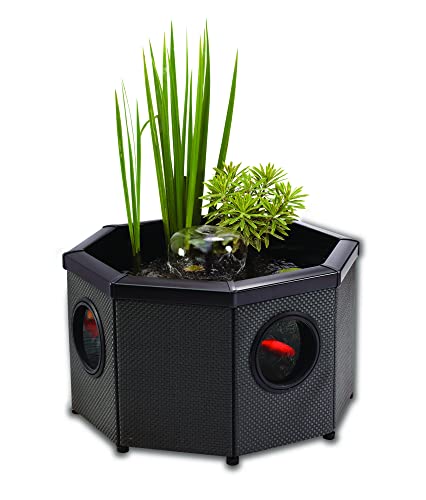 Aquagarden, Affinity Kompletter Hochteichbausatz mit Fenstern - Achteckig, Pool mit Wasserspiel, einschließlich Inpond 5 in 1 2000 Teich- und Wasserpumpe mit UV-Klärer, DREI Fenster Aquagarden, Affinity Kompletter Hochteichbausatz mit Fenstern - Achteckig, Pool mit Wasserspiel, einschließlich Inpond 5 in 1 2000 Teich- und Wasserpumpe mit UV-Klärer, DREI Fenster von Aqua Garden