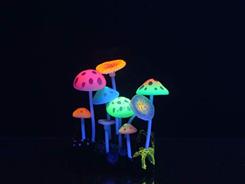 Aqua Lumo Fluoreszierende Pilzpflanze aus Silikon, Mehrfarbig von Aqua Lumo
