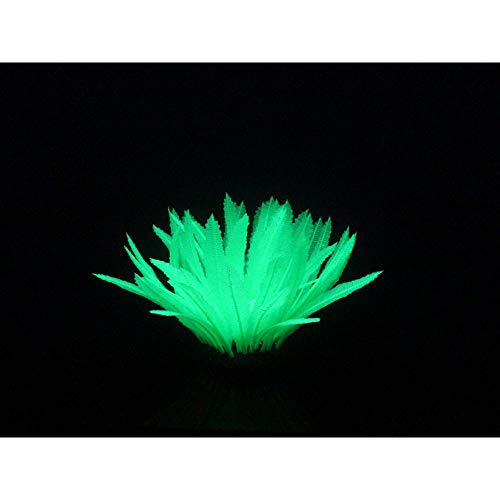 Aqua Lumo Leuchtstofflampe aus Silikon, Grün von Aqua Lumo