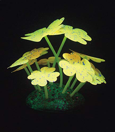 Aqua Lumo Silikon-Fluoreszierendes Kleeblatt, Gelb von Aqua Lumo