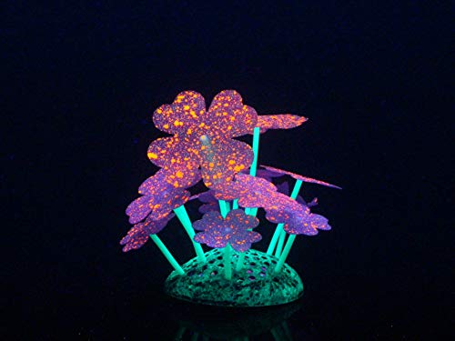 Aqua Lumo Silikon-Fluoreszierendes Kleeblatt, Violett von Aqua Lumo