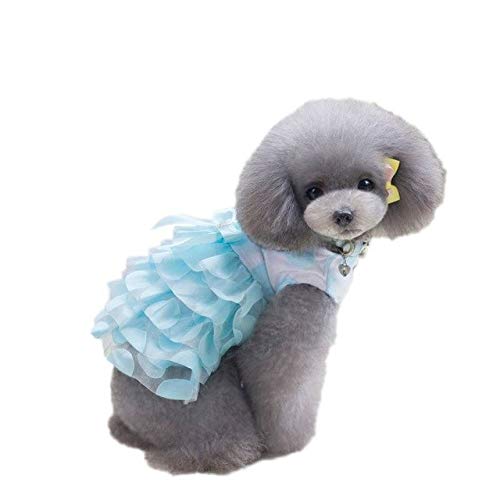 Aqua Marina Beesclover Tutu-Kleid für Hunde und Katzen, Motiv Schleife, Größe M Aqua Marina Beesclover Tutu-Kleid für Hunde und Katzen, Motiv Schleife, Größe M von Aqua Marina