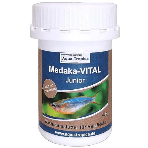 Aqua-Tropica Medaka-VITAL Junior 40g - Wachstums Futter für Medaka, Reisfische, Oryzias mit Allen wichtigen Nährstoffen gesunden und gleichmäßigen Wuchs Aqua-Tropica Medaka-VITAL Junior 40g - Wachstums Futter für Medaka, Reisfische, Oryzias mit Allen wichtigen Nährstoffen gesunden und gleichmäßigen Wuchs von Aqua-Tropica VITAL