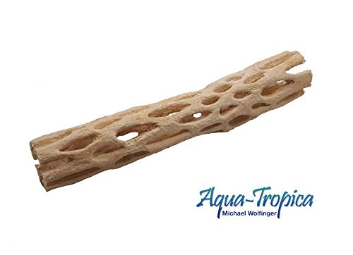 Aqua-Tropica ATN-118 Vuka Holz - Large 15-16 cm Durchmesser: 3-4 cm von Aqua-Tropica