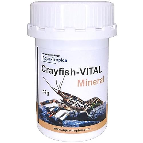 Aqua-Tropica Crayfish-VITAL Mineral - Premium Krebsfutter zur Mineralversorung für Flusskrebse der Gattungen Procambarus, Cambarus, Astacus und Cherax Krebse aus Australien - Körnung 7 mm - 50g Aqua-Tropica Crayfish-VITAL Mineral - Premium Krebsfutter zur Mineralversorung für Flusskrebse der Gattungen Procambarus, Cambarus, Astacus und Cherax Krebse aus Australien - Körnung 7 mm - 50g von Aqua-Tropica