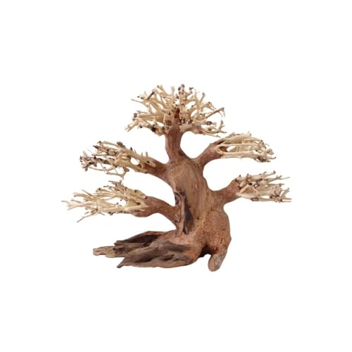 AquaOne Aquarium Bonsai Baum M Nr.1009 I Wurzel Oriental Holz 20x15x20 cm I Aquascaping Dekoration I Natur Unikat Bonsaibaum I Landschaft Deko Unterwasserlandschaft AquaOne Aquarium Bonsai Baum M Nr.1009 I Wurzel Oriental Holz 20x15x20 cm I Aquascaping Dekoration I Natur Unikat Bonsaibaum I Landschaft Deko Unterwasserlandschaft von AquaOne