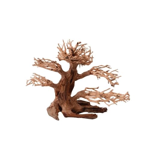AquaOne Aquarium Bonsai Baum M Nr.1011 I Wurzel Oriental Holz 20x15x20 cm I Aquascaping Dekoration I Natur Unikat Bonsaibaum I Landschaft Deko Unterwasserlandschaft AquaOne Aquarium Bonsai Baum M Nr.1011 I Wurzel Oriental Holz 20x15x20 cm I Aquascaping Dekoration I Natur Unikat Bonsaibaum I Landschaft Deko Unterwasserlandschaft von AquaOne