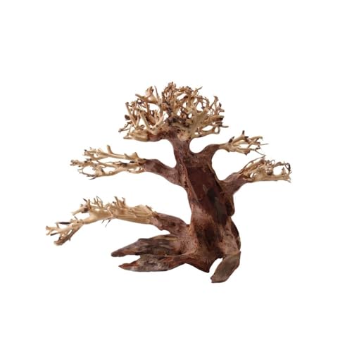 AquaOne Aquarium Bonsai Baum M Nr.1021 I Wurzel Oriental Holz 20x15x20 cm I Aquascaping Dekoration I Natur Unikat Bonsaibaum I Landschaft Deko Unterwasserlandschaft von AquaOne