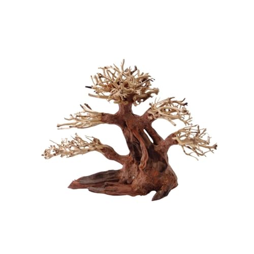 AquaOne Aquarium Bonsai Baum M Nr.1026 I Wurzel Oriental Holz 20x15x20 cm I Aquascaping Dekoration I Natur Unikat Bonsaibaum I Landschaft Deko Unterwasserlandschaft AquaOne Aquarium Bonsai Baum M Nr.1026 I Wurzel Oriental Holz 20x15x20 cm I Aquascaping Dekoration I Natur Unikat Bonsaibaum I Landschaft Deko Unterwasserlandschaft von AquaOne