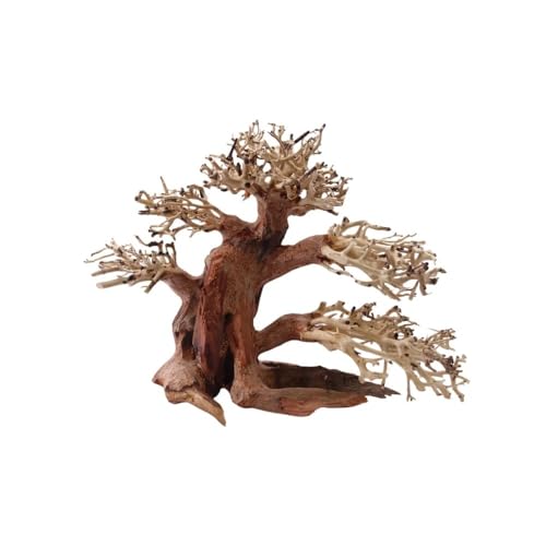 AquaOne Aquarium Bonsai Baum M Nr.1028 I Wurzel Oriental Holz 20x15x20 cm I Aquascaping Dekoration I Natur Unikat Bonsaibaum I Landschaft Deko Unterwasserlandschaft AquaOne Aquarium Bonsai Baum M Nr.1028 I Wurzel Oriental Holz 20x15x20 cm I Aquascaping Dekoration I Natur Unikat Bonsaibaum I Landschaft Deko Unterwasserlandschaft von AquaOne