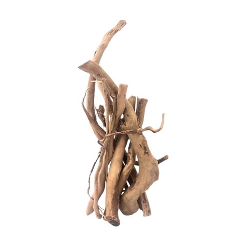 AquaOne Aquarium Moorkien Scape Sticks 100 g (10-25 cm) I Naturholz für Aquascaping & Aquarium Dekoration I Nano Becken Aquarien Terrarien Hardscape Zubehör von AquaOne