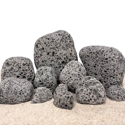AquaOne Aquarium Steine Black Lava Pebbles I Natursteine Gr.S 1 Stück 3-5 cm pro Stein I Aquascaping Gestein Dekoration Terrarium Nanobecken Landschaft AquaOne Aquarium Steine Black Lava Pebbles I Natursteine Gr.S 1 Stück 3-5 cm pro Stein I Aquascaping Gestein Dekoration Terrarium Nanobecken Landschaft von AquaOne