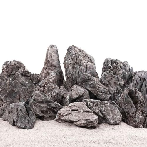 AquaOne Aquarium Steine Mini Landschaft I Natursteine Seiryu 1 Stück 8-14kg I Aquascaping Gestein für Tank I Felsen Dekoration Pagode Rückwand I Deko Aquascape grau AquaOne Aquarium Steine Mini Landschaft I Natursteine Seiryu 1 Stück 8-14kg I Aquascaping Gestein für Tank I Felsen Dekoration Pagode Rückwand I Deko Aquascape grau von AquaOne