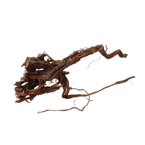 AquaOne Aquarium Wurzel Deko L Drachenwurzel Aquascaping Echtholz Nr.1109 Drachen Curlwurzel Dragonwood Holz Dekoration Pflanzen Landschaft Moos Natur AquaOne Aquarium Wurzel Deko L Drachenwurzel Aquascaping Echtholz Nr.1109 Drachen Curlwurzel Dragonwood Holz Dekoration Pflanzen Landschaft Moos Natur von AquaOne