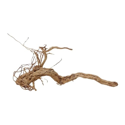 AquaOne Aquarium Wurzel Deko L Drachenwurzel Aquascaping Echtholz Nr.1138 Drachen Curlwurzel Dragonwood Holz Dekoration Pflanzen Landschaft Moos Natur AquaOne Aquarium Wurzel Deko L Drachenwurzel Aquascaping Echtholz Nr.1138 Drachen Curlwurzel Dragonwood Holz Dekoration Pflanzen Landschaft Moos Natur von AquaOne