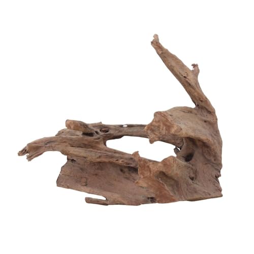AquaOne Aquarium Wurzel Deko L Mangrovenwurzel Aquascaping Echtholz Nr.2113 Holz Dekoration Pflanzen Wasserpflanzen Landschaft Moos Natur von AquaOne