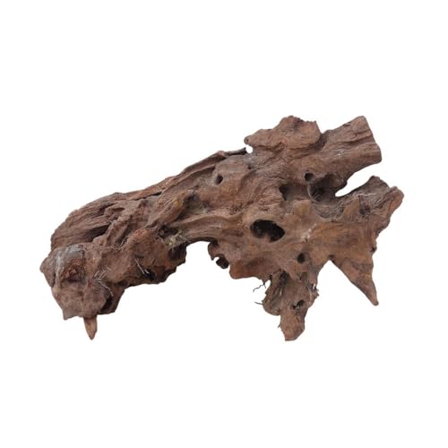 AquaOne Aquarium Wurzel Deko L Mangrovenwurzel Aquascaping Echtholz Nr.2159 Holz Dekoration Pflanzen Wasserpflanzen Landschaft Moos Natur von AquaOne