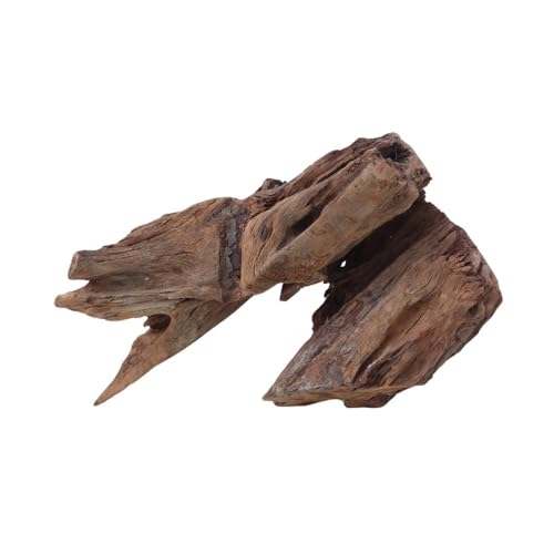 AquaOne Aquarium Wurzel Deko L Mangrovenwurzel Aquascaping Echtholz Nr.2161 Holz Dekoration Pflanzen Wasserpflanzen Landschaft Moos Natur AquaOne Aquarium Wurzel Deko L Mangrovenwurzel Aquascaping Echtholz Nr.2161 Holz Dekoration Pflanzen Wasserpflanzen Landschaft Moos Natur von AquaOne
