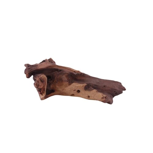 AquaOne Aquarium Wurzel Deko L Mopani Aquascaping Echtholz Nr.1224 Holz Dekoration Pflanzen Wasserpflanzen Landschaft Moos Natur Mopaniwurzel Welse von AquaOne