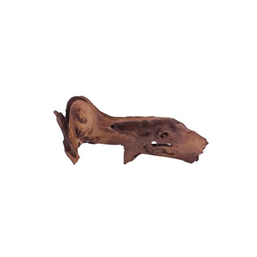 AquaOne Aquarium Wurzel Deko M Mopani Aquascaping Echtholz Nr.1191 Holz Dekoration Pflanzen Wasserpflanzen Landschaft Moos Natur Mopaniwurzel Welse von AquaOne