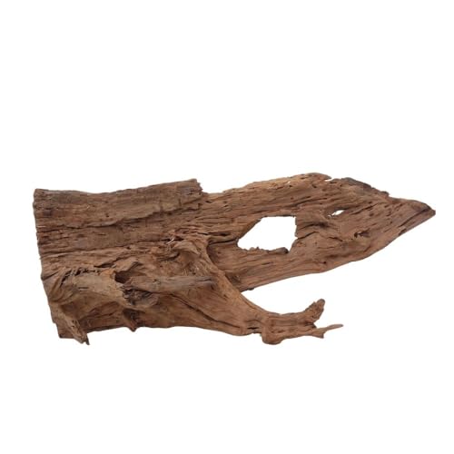 AquaOne Aquarium Wurzel Deko XL Mangrovenwurzel Aquascaping Echtholz Nr.1329 Holz Dekoration Pflanzen Wasserpflanzen Landschaft Moos Natur von AquaOne